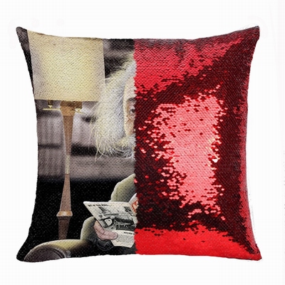 Fashion Wholesale Reversible Sequin Pillow Professor Image Gift