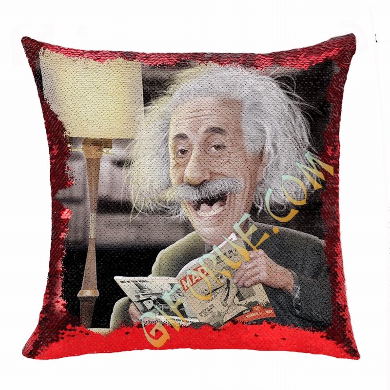 Fashion Wholesale Reversible Sequin Pillow Professor Image Gift - Click Image to Close