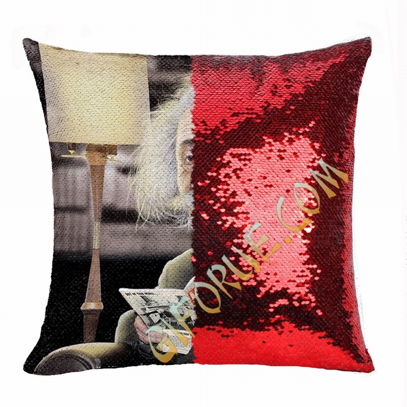 Fashion Wholesale Reversible Sequin Pillow Professor Image Gift - Click Image to Close