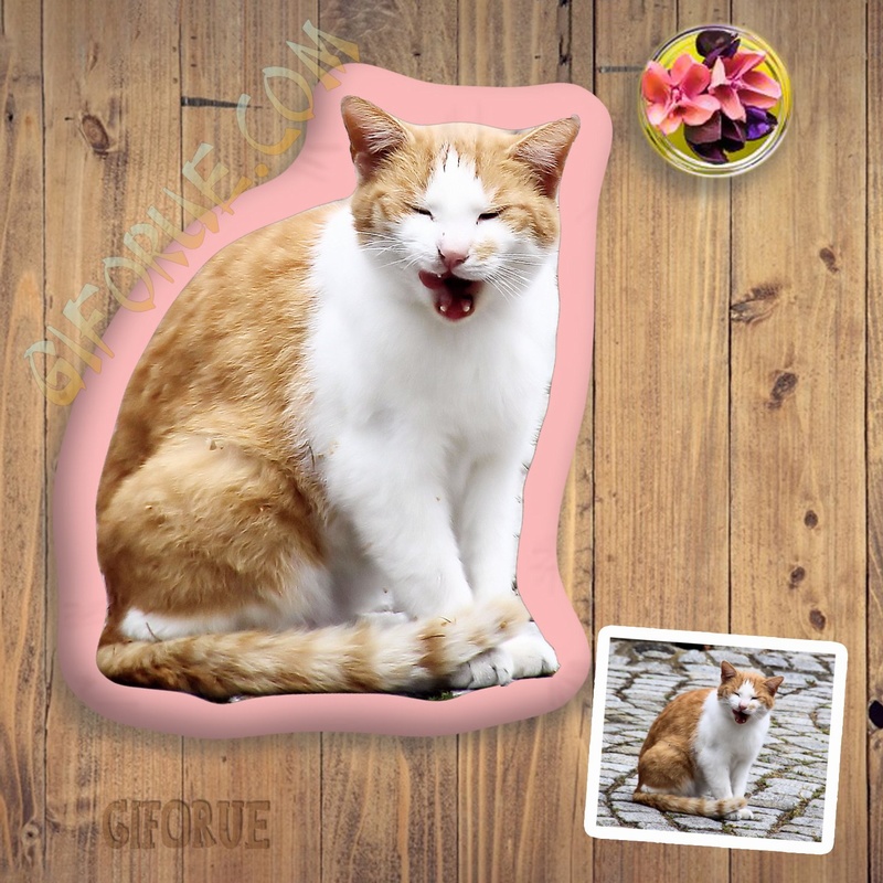 Custom 3D Shaped Pillow With Cat Head Cute Gift - Click Image to Close