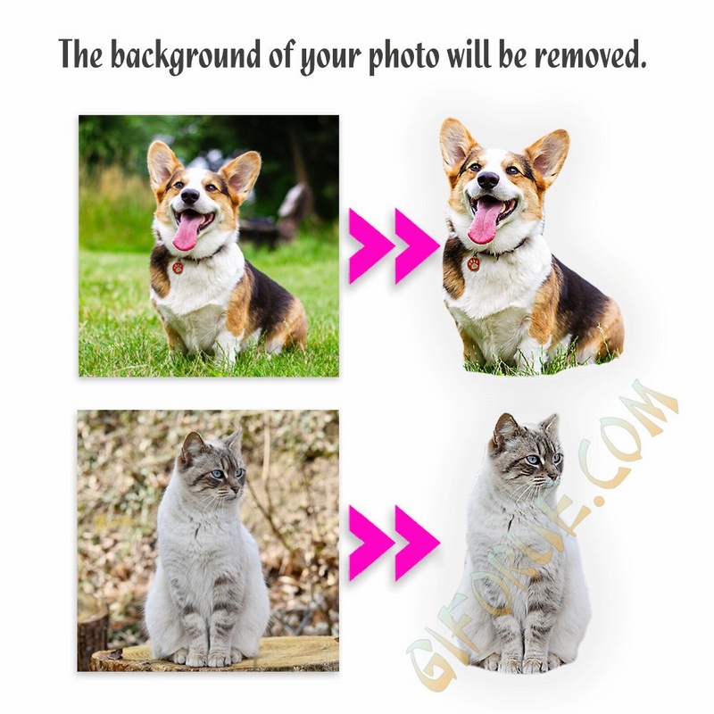 Custom Cat Body Shaped Pilow With Photo - Click Image to Close