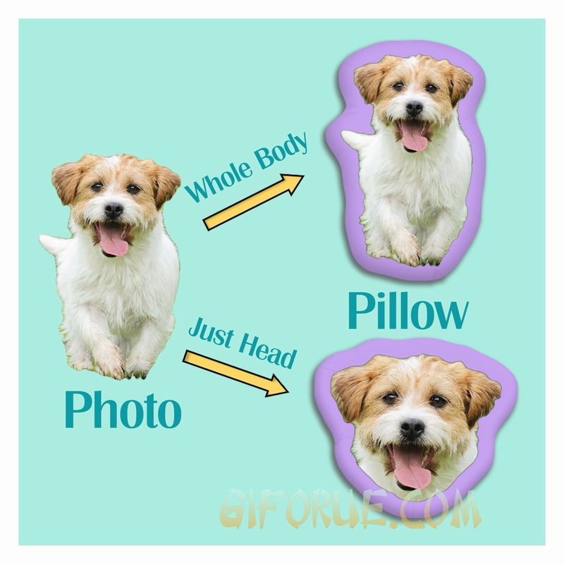 Custom-Made 3D Pillow Food Pillow For friends - Click Image to Close