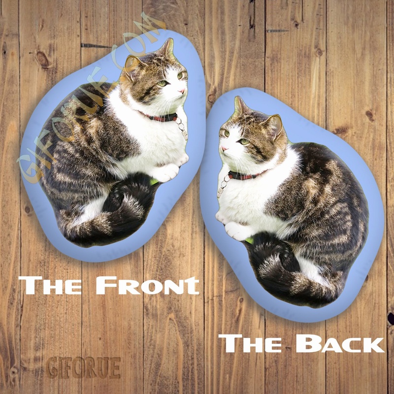 Custom Two Photos 3D Shapped Pillow Double-sided Print - Click Image to Close