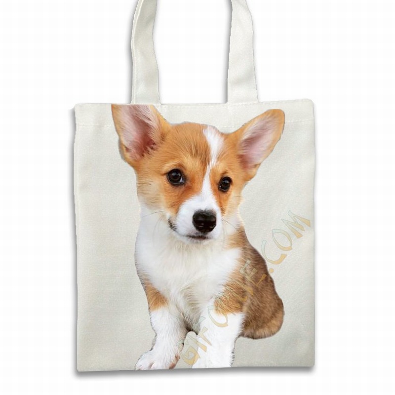Customized Picture Cotton Canvas Bags Best Experience Gift - Click Image to Close