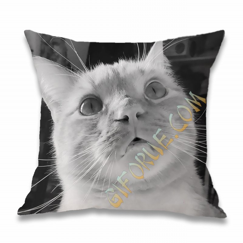 Cotton Fabric Pillow Best Custom-Made Gift With Cat Photo - Click Image to Close