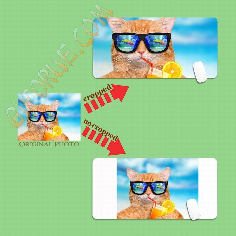 Custom Image Mouse Mat Home Decoration Clever Cat Photo Gift - Click Image to Close
