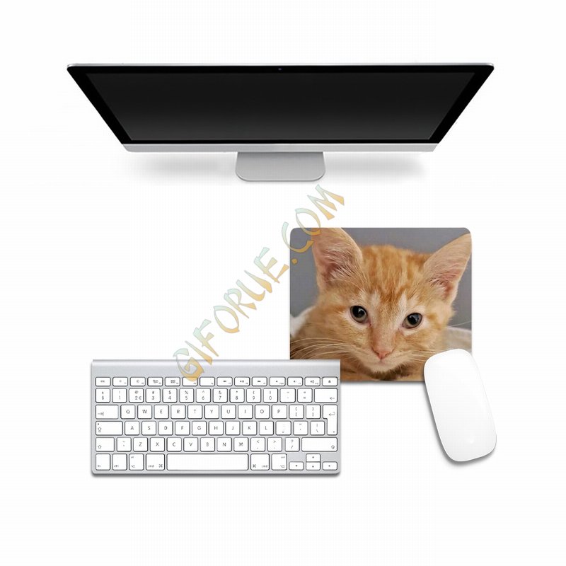 Custom Photo Mouse Pad Most Popular Gift S - Click Image to Close