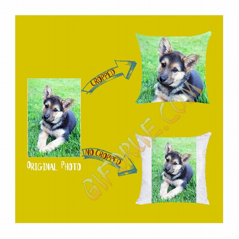 Handmade Magic Sequin Pillow Personalised Image Business Gift - Click Image to Close