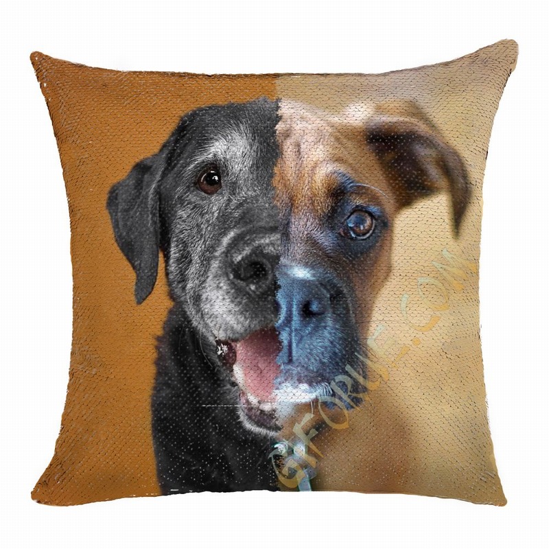 Personalized Gift Two Images Magic Pillow Cover - Click Image to Close