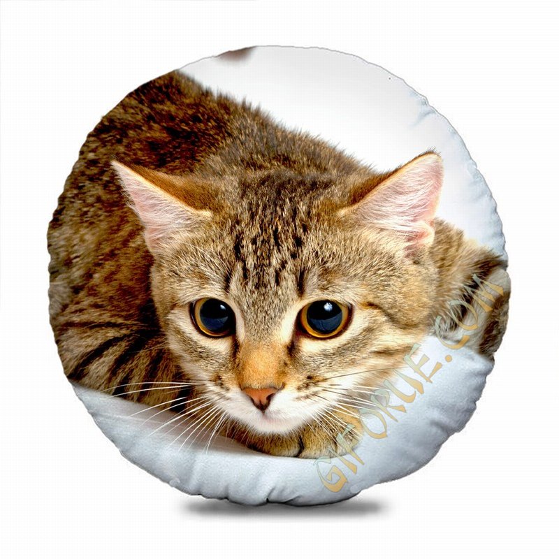 Custom-Made Round-Shaped Pillow Clever New Home Gift - Click Image to Close