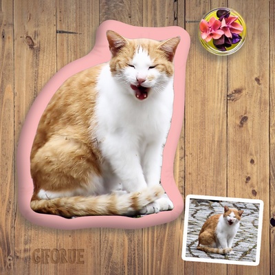 Custom 3D Shaped Pillow With Cat Head Cute Gift