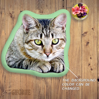 Custom 3D Shaped Pillow With Cat Head Cute Gift