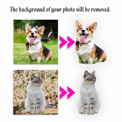 Custom Cat Body Shaped Pilow With Photo