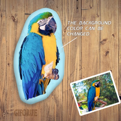 Custom Parrot Body 3D Pillow Memorial Gift