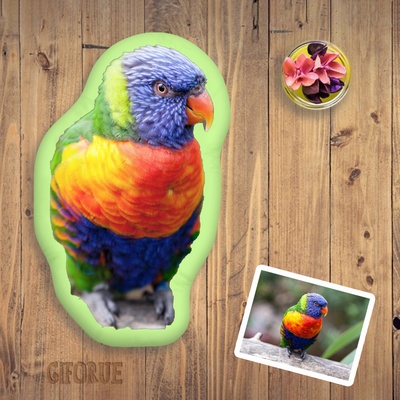 Customized Bird Body 3D Pillow Unique Gift