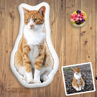 Personalized 3D Shaped Pillow With Cat Photo