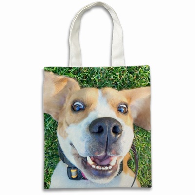 Perfect Photo Gift Personalized Tote Grocery Bags For Funny