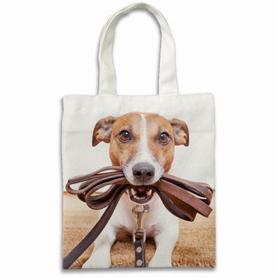 Useful Dog Photo Gift Personalized Heavy Duty Tote Weekender Bags