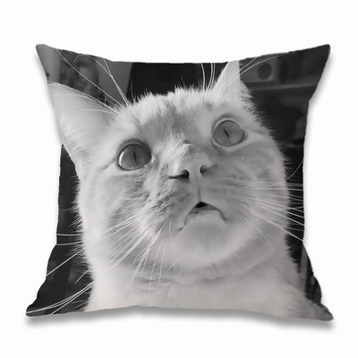 Cotton Fabric Pillow Best Custom-Made Gift With Cat Photo