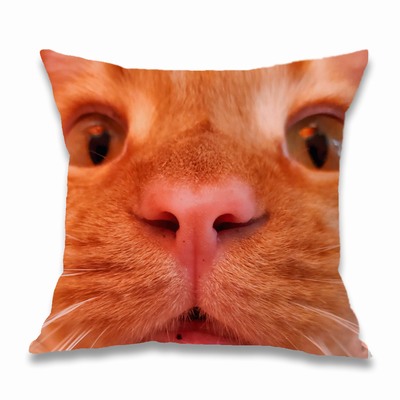 Customizable Gift Cute Cotton Pillowcase With Pet Photo