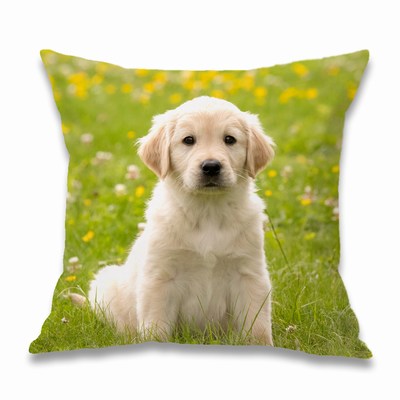 Two Sided Photo Cotton Pillow Custom Square Throw Pillow