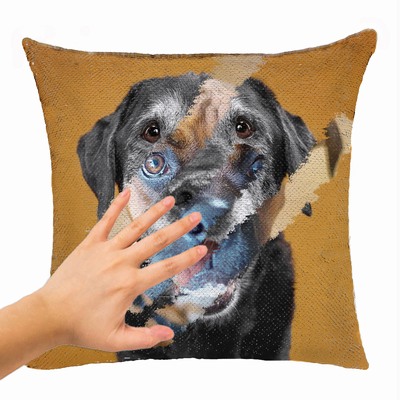 Personalized Gift Two Images Magic Pillow Cover