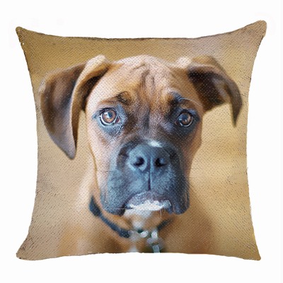 Personalized Gift Two Images Magic Pillow Cover