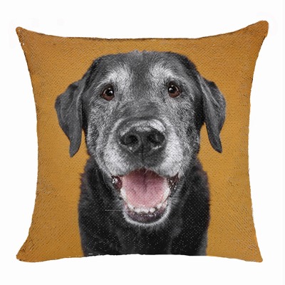 Personalized Gift Two Images Magic Pillow Cover