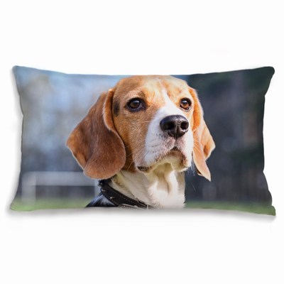 Personalized Oblong Couch Pillow With Zipper Brushed Cotton