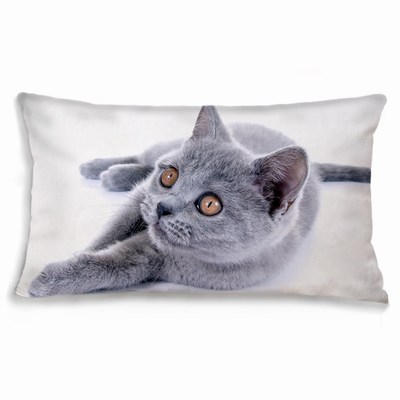 Decorative Rectangular Pillow Custom Cat Photo Skin-Friendly