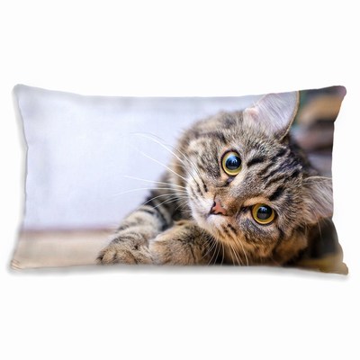 Decorative Rectangular Pillow Custom Cat Photo Skin-Friendly