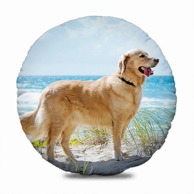 Attractive Pet Image Gift Custom Photo Round Decorative Pillow