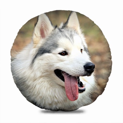 Attractive Pet Image Gift Custom Photo Round Decorative Pillow