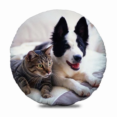 Attractive Pet Image Gift Custom Photo Round Decorative Pillow