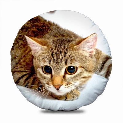 Custom-Made Round-Shaped Pillow Clever New Home Gift